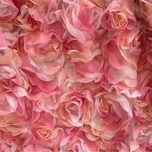 CES FEMME Dress Lace Ruffles Tule With Puff Sleeves Pink Size S - Picture 11 of 16